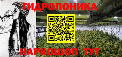 ALPHA PVP Обь