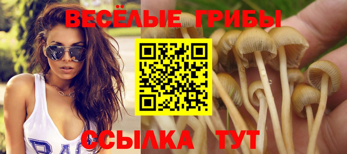 Галлюциногенные грибы прущие грибы  Вход с VPN  Обь 